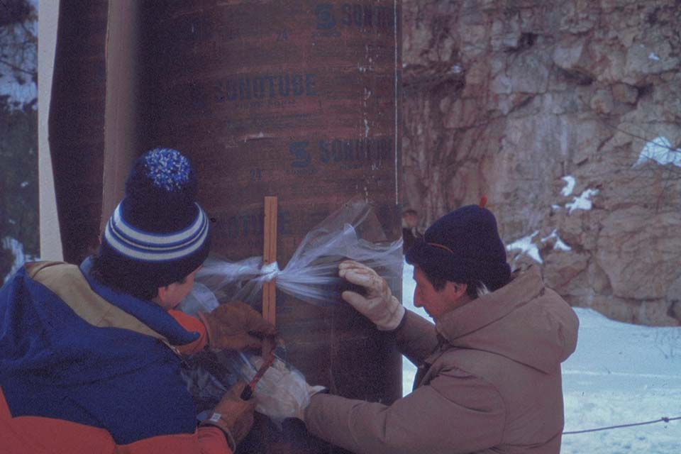 Neon Ice Project 015